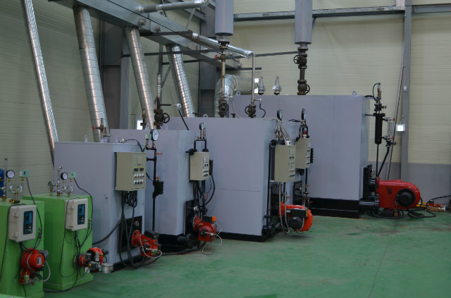 Small Size Double Tube Boiler